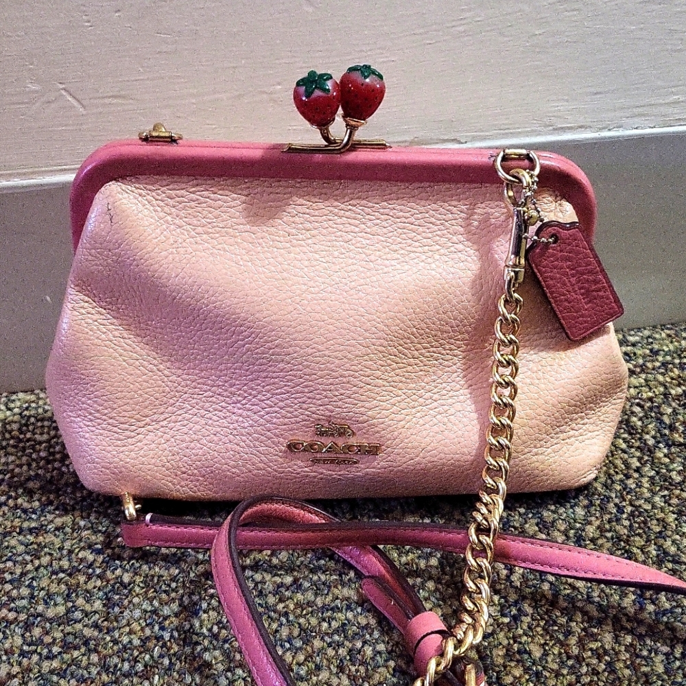 Coach Nora kisslock bag